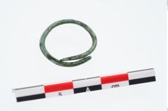 Foto von Bronzering (NHMW-PRAE-024226)